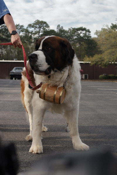 Trinity-3rd-Annual-Car-Show-294